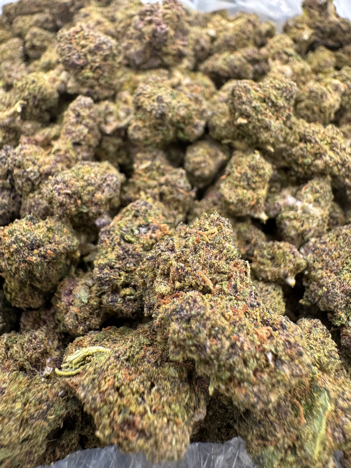 Zookies Small