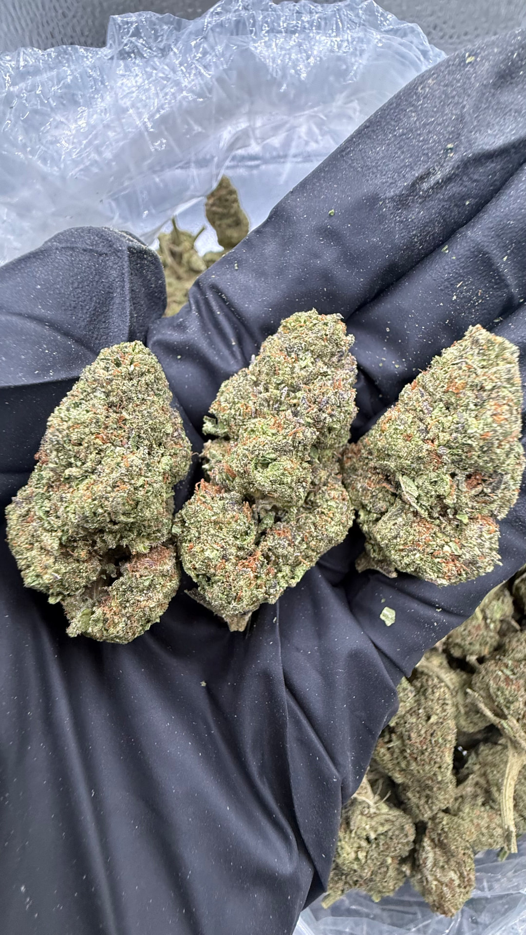 Crunch Berries