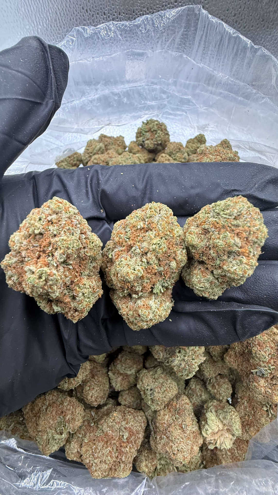GK