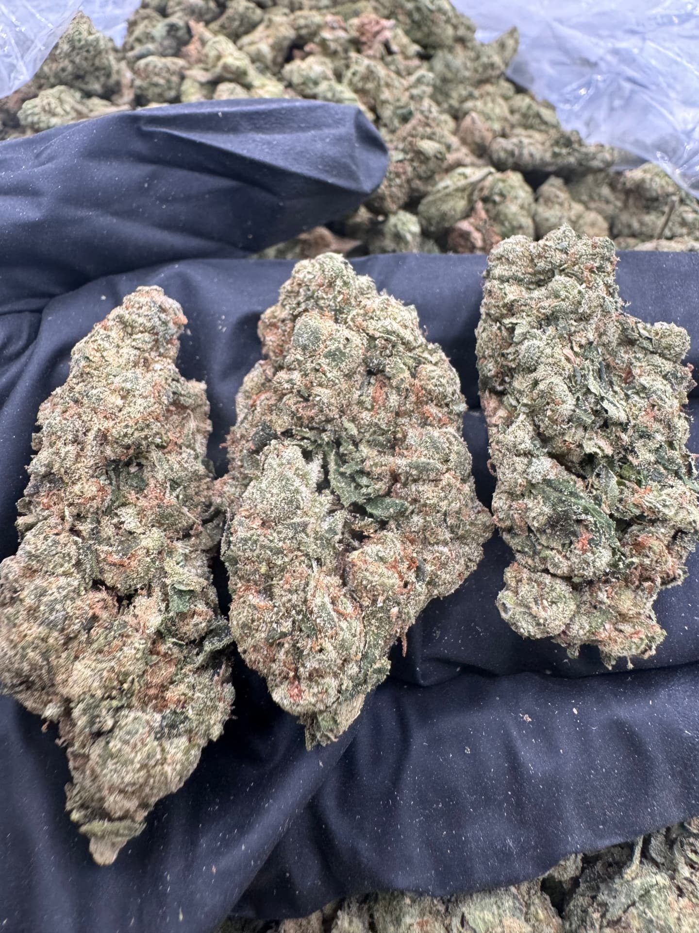 Grape Runtz